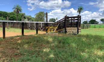 Imagem 6: Fazenda com 53,5 Alqueires - Zona Rural - Aparecida do Rio Negro/TO