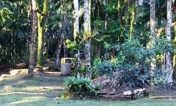 Imagem 3: Sitio à venda em Blumenau