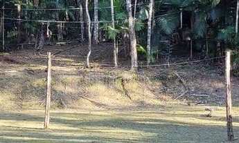 Imagem 2: Sitio à venda em Blumenau