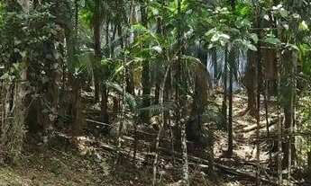 Imagem 7: Sitio à venda em Blumenau