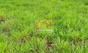 Imagem: Fazenda, 62 alqueires - Piçarra/PA