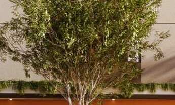 Imagem 3: Smarthome Vila Sônia | Construtora Área | Construção | 36 metros | 02 dormitórios