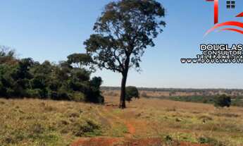 Imagem 7: Fazenda Na Região de Gurinhatã MG