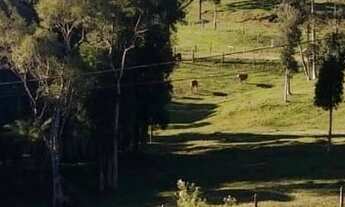 Imagem 4: Oportunidade terreno urbano, 100% escriturado , próximo do centro de Campo Alegre, localiz