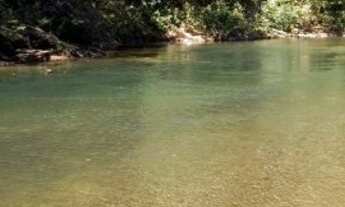 Imagem: Fazenda 99 alqueires (478,73 hectares) Em