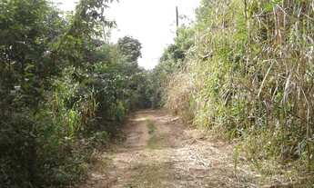 Imagem 6: Sitio tipo fazendinha com 111.000 mil m2