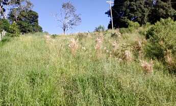 Imagem 2: Chácara em MG Chácara com venda por R$70.000