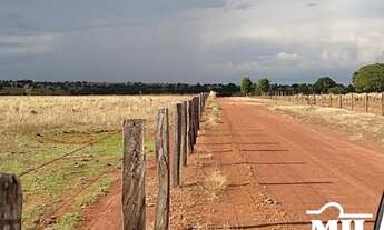 Imagem 6: Arrendamento Agrícola em Nova Crixas-GO (726 Há