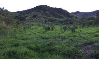 Imagem: FAZENDA 190 ALQUEIRES EM MINAÇU