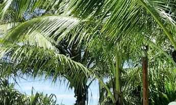 Imagem 4: CASA DE PRAIA PISCINA CONDOMÍNIO