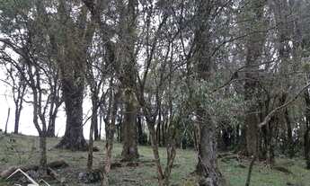 Imagem 5: Itaara - Chácara - Centro