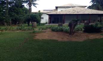 Imagem 7: Vendo a Melhor fazenda da Região de cristalina - GO