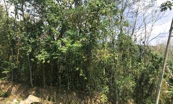 Imagem 6: Terreno para venda com 1.150m², em boa topografia no Cônego - Nova Friburgo - RJ