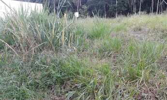 Imagem 6: Registro - Terreno Padrão - Jardim Lebrom