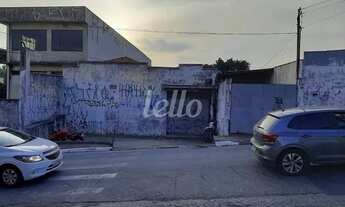 Imagem: São Paulo - Terreno Padrão - Vila Prudente
