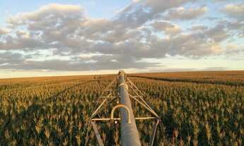 Imagem 3: Fazenda Florestópolis 425 Alqueiro 2 mil saca de soja por alqueiro