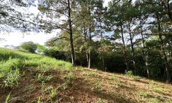 Imagem 7: Sítio de 4.690 metros com visão panorâmica da região, apenas 2 km do asfalto