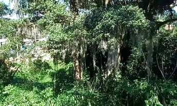 Imagem 2: Casa simples de madeira para alugar