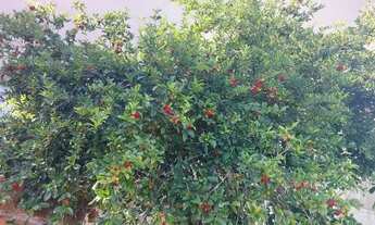 Imagem 5: Casa de frente para o mar