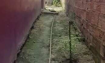 Imagem 5: Casa no colônia terra nova 80 mil