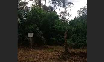 Imagem 4: Terreno em marituba