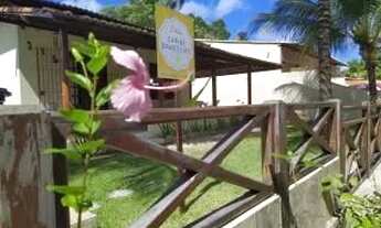 Imagem 4: Maragogi - Praia de Antunes