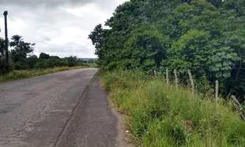 Imagem 6: Vendo sítio em Nazaré das farinha
