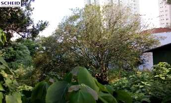 Imagem 4: Terreno comercial próximo ao cento, condução na porta