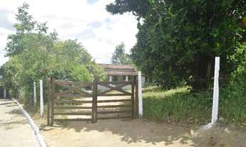 Imagem 2: Sítio na Serra do Vitorino 1600m2