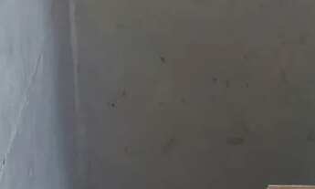 Imagem 2: Aluguel de casa 3 cômodos