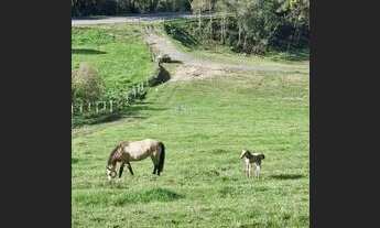 Imagem 2: Terreno - Urubici