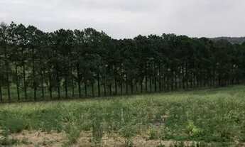 Imagem: Lote/Terreno para venda possui 500 metros