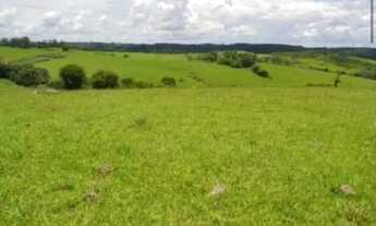 Imagem 6: Entre Alambari e Itapetininga <br>149 alqueires