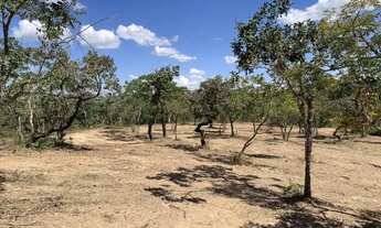 Imagem 2: Chácara 9000m², Energia, Arborizada, Linda Vista, 600m Asfalto, 2km Aragoiânia