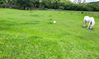 Imagem 4: T.e - Vende-se o melhor terreno no interior