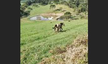 Imagem 6: Terreno - Urubici