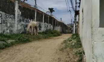 Imagem 4: Casa ibura de baixo 45 mil