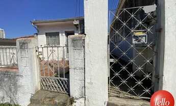 Imagem 6: São Paulo - Terreno Padrão - Tatuapé