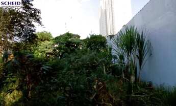 Imagem 6: Terreno comercial próximo ao cento, condução na porta