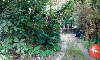 Imagem 5: São Paulo - Terreno Padrão - Tremembé