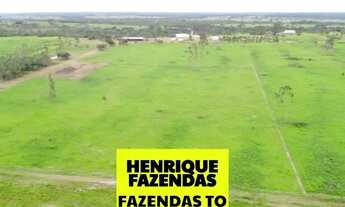Imagem 7: Fazenda dupla aptidão Vale do Araguaia Tocantins