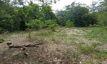 Imagem 4: Terra pelo crédito fundiário