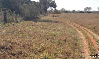 Imagem 2: Fazenda Na Região de Gurinhatã MG