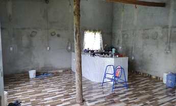 Imagem 7: Sítio 14,29 hectares com açaizal de 18 mil pés por R$300 mil