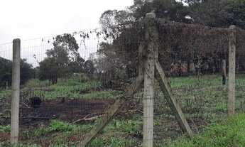 Imagem 4: Itaara - Terreno Padrão - Vila Etelvina