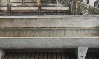 Imagem 3: SILVA JARDIM FAZENDA PRONTA COM 31 ALQUEIRES MINEIROS