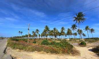 Imagem: Terreno beira mar com 5.552,7 m2 na Praia