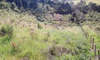 Imagem 5: Chácara em MG Chácara com venda por R$70.000