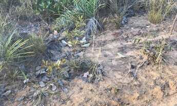 Imagem 3: Área 503 Hectares 103 Alqueires- jaborandi-BA (entrada + 5 anos