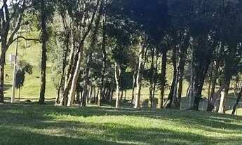 Imagem 6: Oportunidade terreno urbano, 100% escriturado , próximo do centro de Campo Alegre, localiz